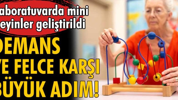 Laboratuvarda mini beyinler geliştirildi! Demans ve felce karşı büyük adım