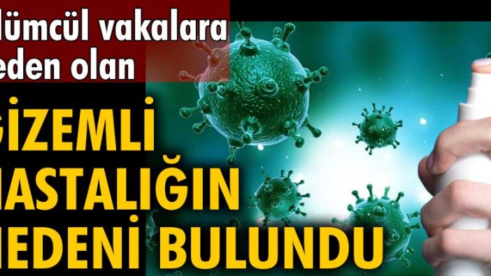 ABD'de ölümcül vakalara neden olan gizemli hastalığın nedeni bulundu