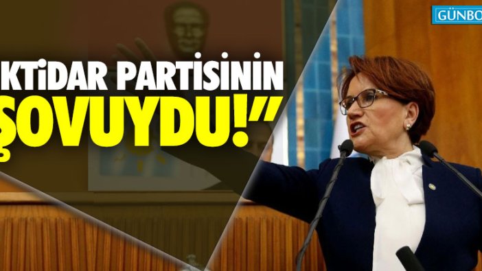 "İktidar partisinin şovuydu!"