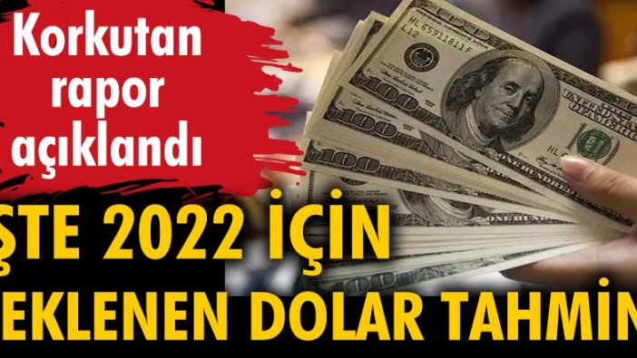 Korkutan rapor açıklandı: İşte 2022 için beklenen dolar tahmini