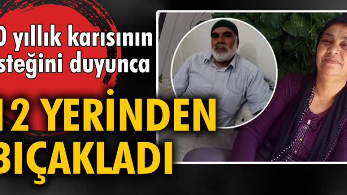 Ali Çakır nafaka isteyen eşini 12 yerinden bıçakladı!