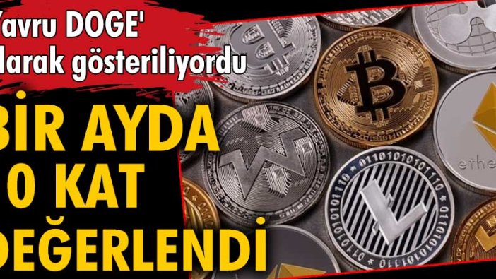 'Yavru DOGE' olarak gösteriliyordu! Bir ayda 10 kat değerlendi