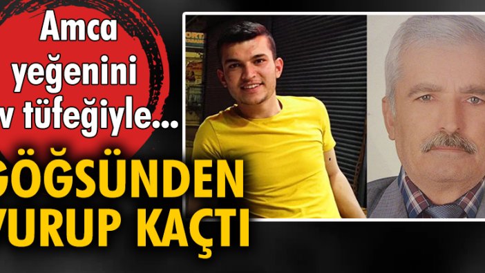 Amca, yeğenini av tüfeğiyle göğsünden vurup kaçtı