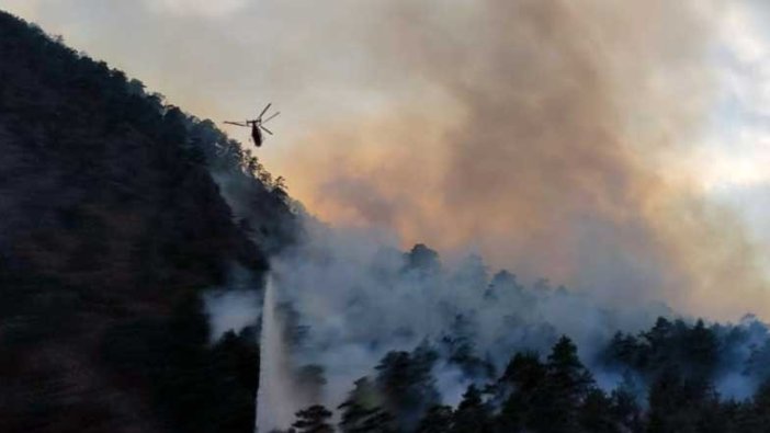 Adana'nın Alaçam ilçesinde orman yangını