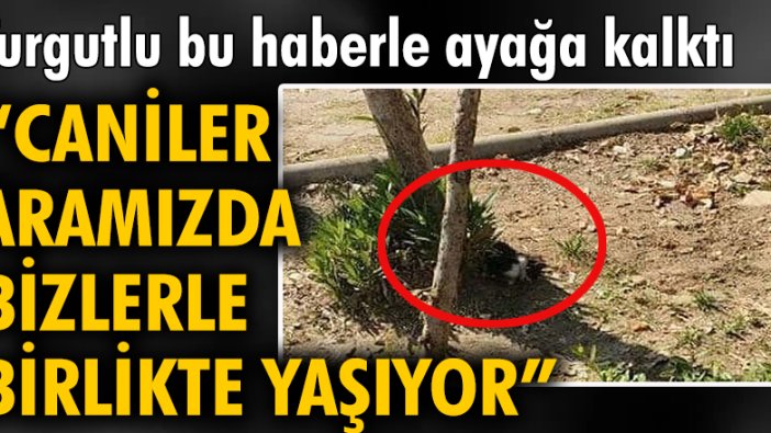 Turgutlu bu haberle ayağa kalktı: 