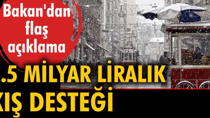 Bakan Derya Yanık, 2.5 milyar liralık kış desteği yapılacağını duyurdu