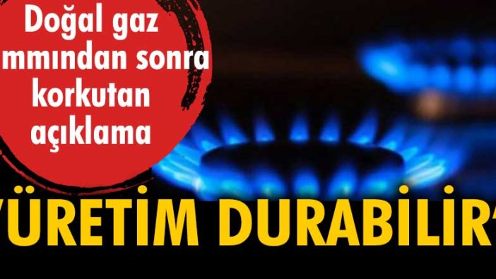 Doğal gaz zammından sonra korkutan açıklama: 