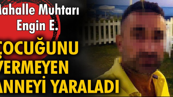 Muhtar, çocuğunu vermeyen anneyi yaraladı