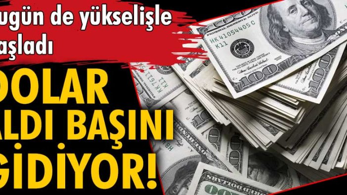 Bugün de yükselişle başladı! Dolar aldı başını gidiyor