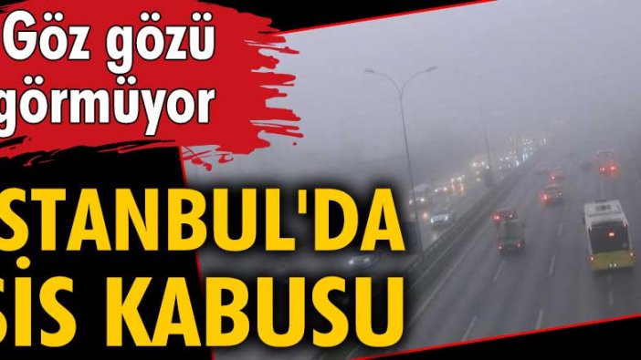 İstanbul'da sis kabusu!