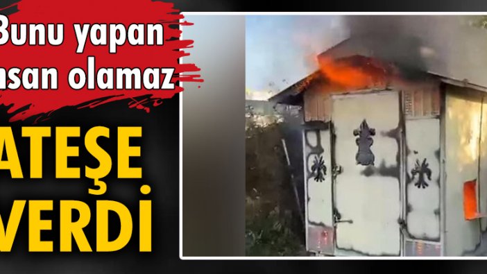 Bunu yapan insan olamaz! Ateşe verdi...