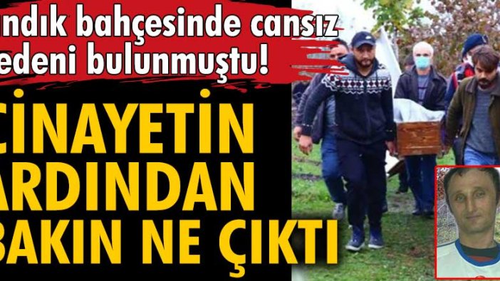 Kocaeli'nin Kandıra ilçesinde, fındık bahçesinde cansız bedeni bulunmuştu...