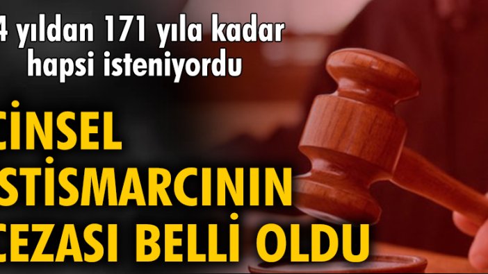 74 yıldan 171 yıla kadar hapsi isteniyordu! Cinsel istismarcının cezası belli oldu