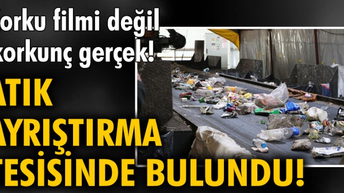 Atık ayrıştırma tesisinde bebek cesedi bulundu