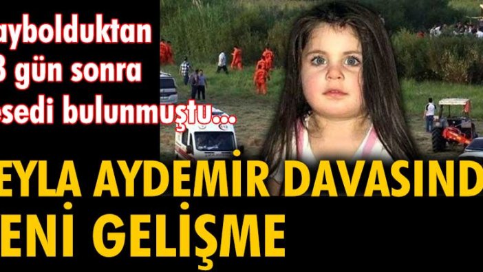 Leyla Aydemir davasında gerekçeli karar açıklandı