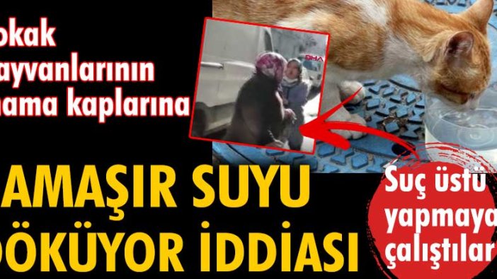 Sokak hayvanlarının mama kaplarına çamaşır suyu döküyor iddiası