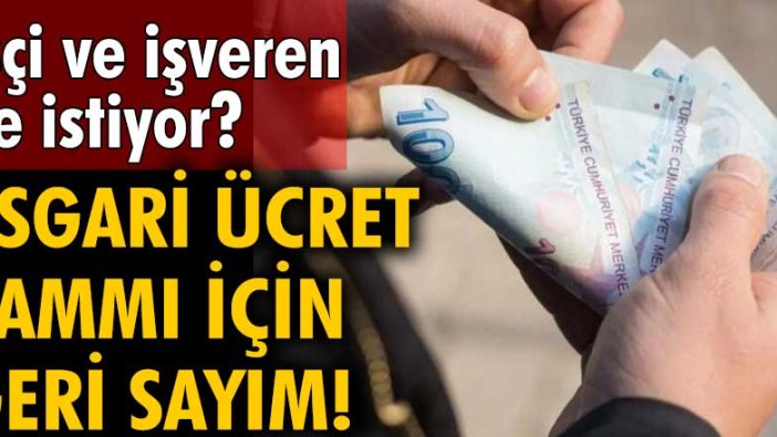 İşçi ve işveren ne istiyor? Asgari ücret zammı için geri sayım