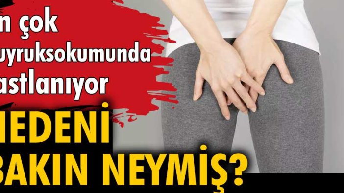 Kıl dönmesinin nedeni bakın neymiş?