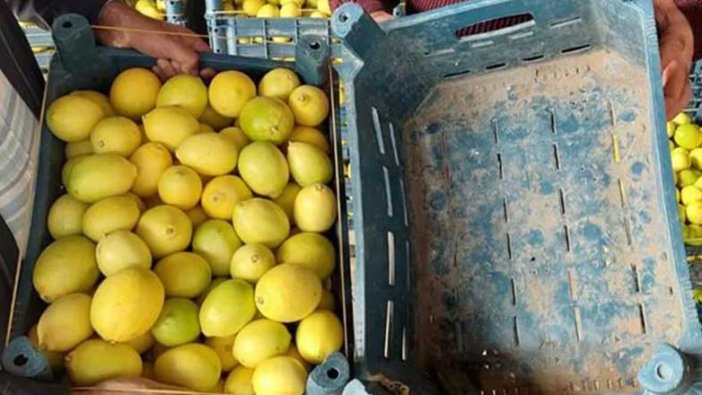 Kasanın fiyatı içindeki limonu geçti