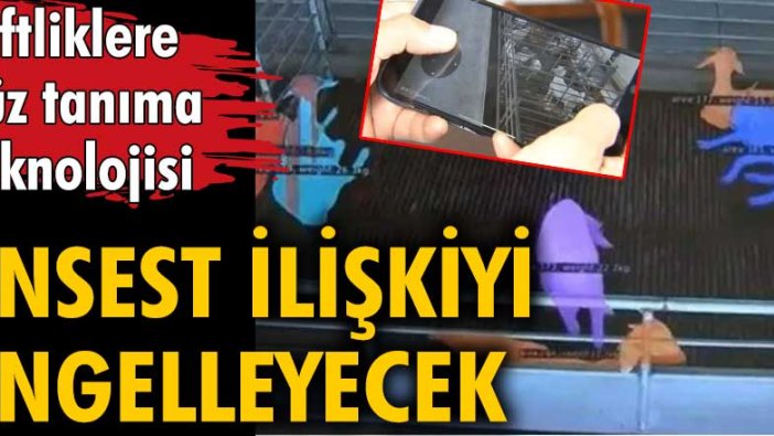 Ensest ilişkiyi engelleyecek! Çiftliklere yüz tanıma teknolojisi