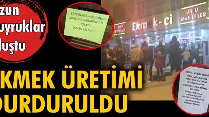 Ekmek üretimi durduruldu. Uzun kuyruklar oluştu