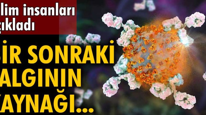 Bilim insanları açıkladı: Bir sonraki salgının kaynağı fareler!