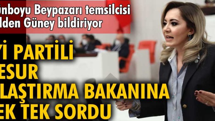 İYİ Partili Aylin Cesur Ulaştırma Bakanına tek tek sordu