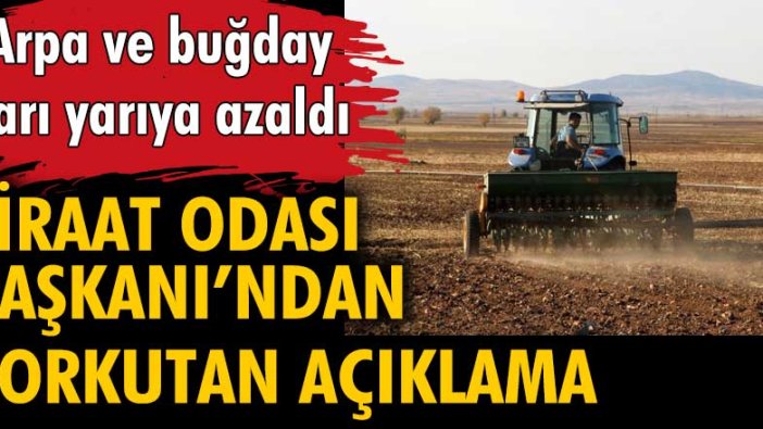 Kuraklık, arpa ve buğday üretimini olumsuz etkiledi