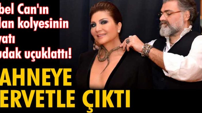 Sibel Can sahneye servetle çıktı