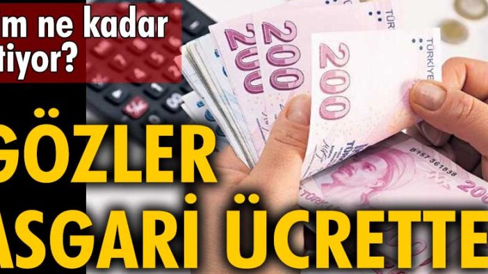 Kim ne kadar istiyor? Gözler asgari ücrette