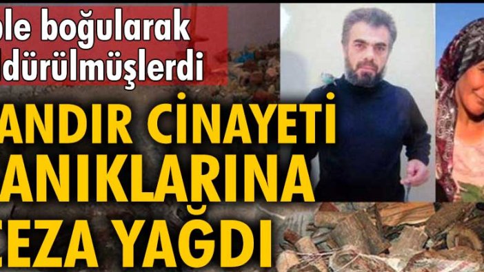 Tandır cinayeti sanıklarına ceza yağdı