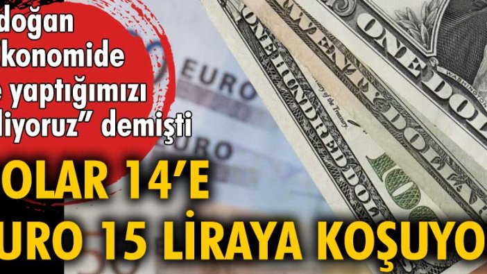 Rekor üstüne rekor kırıyor! Dolar 14'e, Euro 15 TL'ye koşuyor!