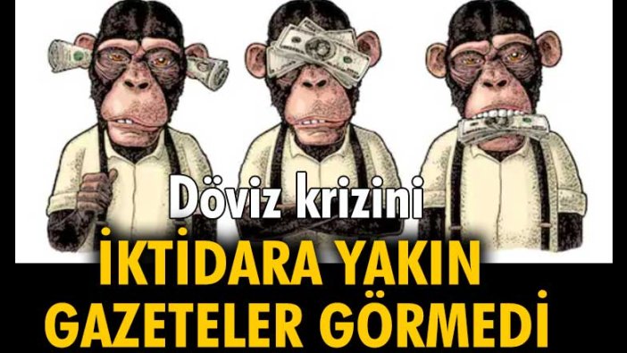 Döviz krizini iktidara yakın gazeteler görmedi