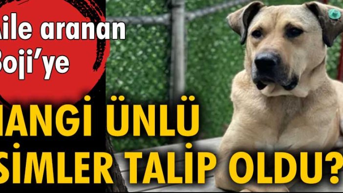 Aile aranan Boji'ye ünlü isimler talip oldu: Demet Akalın, İlker Ayrık