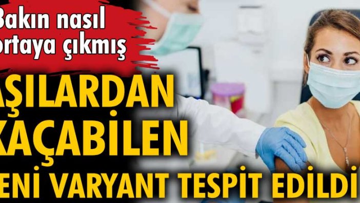 Aşılardan kaçabilen 32 mutasyona sahip B.1.1.529 adlı yeni bir varyant tespit edildi