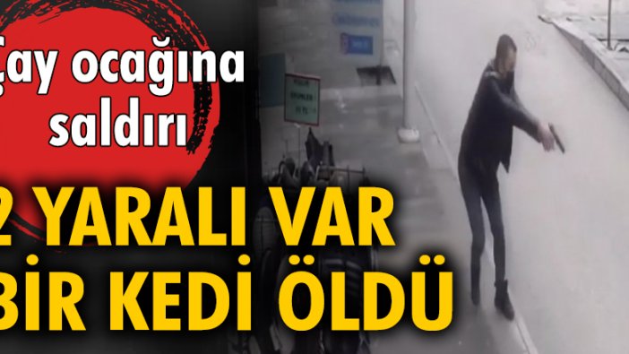 Çay ocağına saldırı; 2 yaralı var bir kedi öldü...