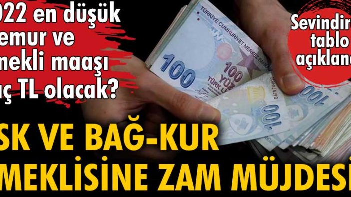 SSK ve Bağ-Kur emeklisine zam müjdesi! 2022 en düşük memur ve emekli maaşı kaç TL olacak?