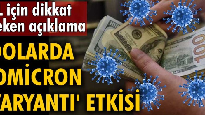 Dolarda 'Omicron varyantı' etkisi: TL için dikkat çeken açıklama