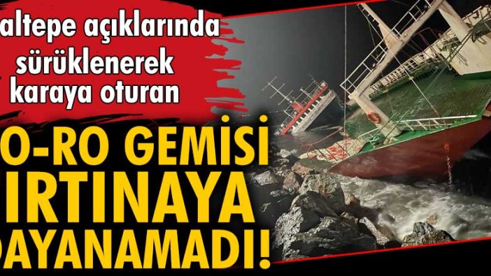 Maltepe'de lodos Ro-Ro gemisini sulara gömdü!