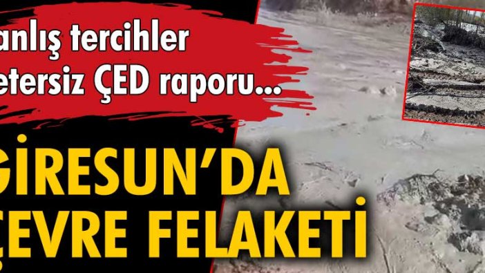 Giresun'da çevre felaketi! Yanlış tercihler, yetersiz ÇED raporu...