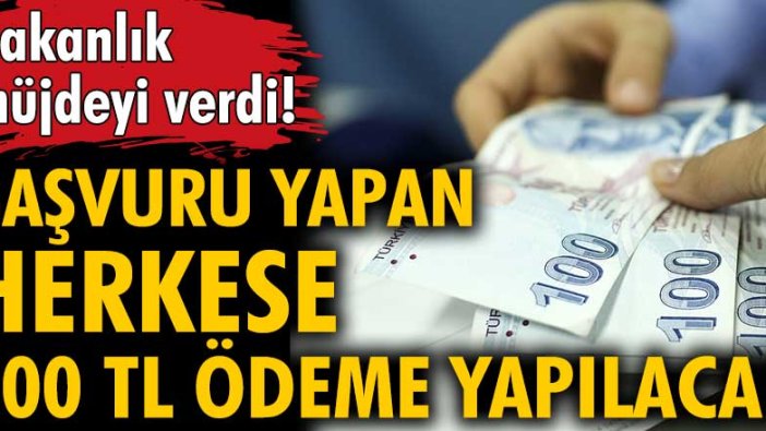 Bakanlık'tan Müjde geldi! Başvuru yapan herkese 600 TL ödeme yapılacak