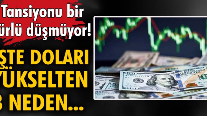 İşte doları yükselten 3 neden...