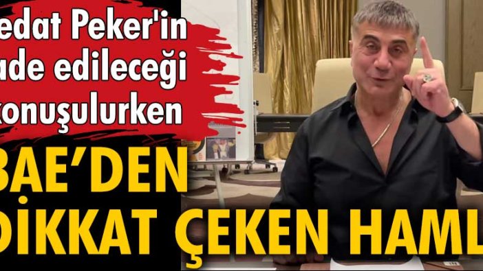 Sedat Peker'in iade edileceği konuşulurken BAE'den dikkat çeken hamle