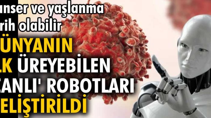 Dünyanın ilk üreyebilen 'Canlı' robotları geliştirildi: Kanser ve yaşlanma tarih olabilir