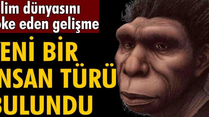 Yeni bir insan türü bulundu: Homo bodoensis