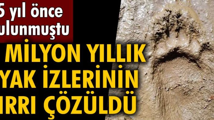 Tanzanya'da bulunmuştu! 4 milyon yıllık ayak izlerinin sırrı çözüldü