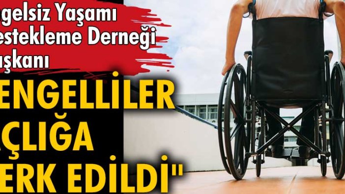 Engelsiz Yaşamı Destekleme Derneği Başkanı Bülent İnce: Engelliler açlığa terk edildi