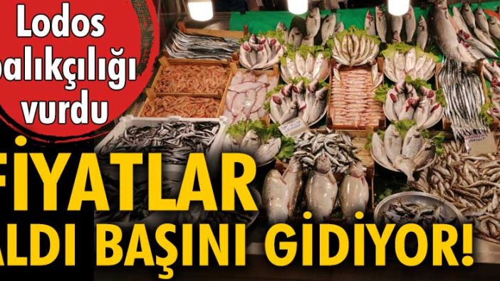 Lodos balıkçılığı vurdu! Fiyatlar aldı başını gidiyor