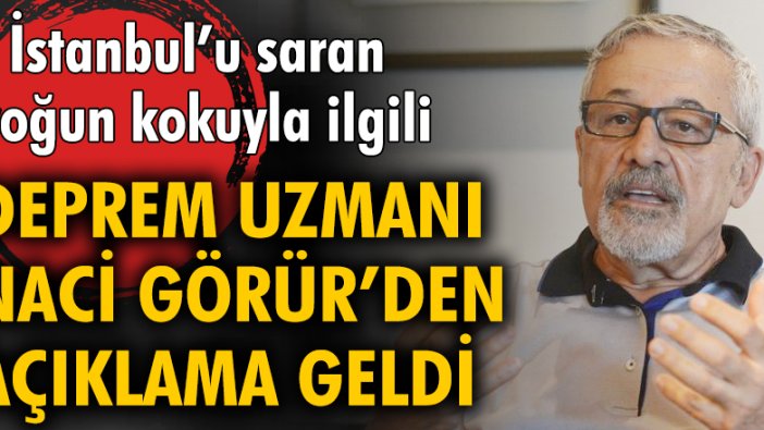 İstanbul'u saran yoğun kokuyla ilgili deprem uzmanı Naci Görür'den açıklama geldi