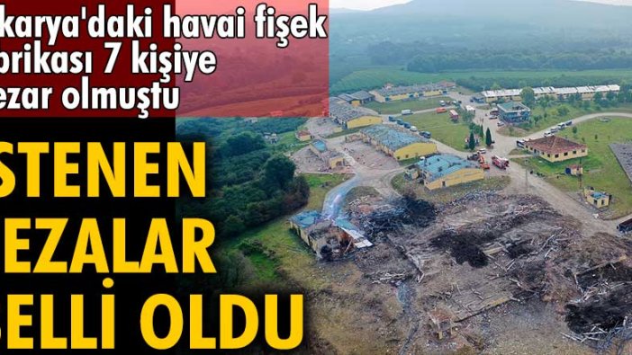 Sakarya'daki havai fişek fabrikası 7 kişiye mezar olmuştu! İstenen cezalar belli oldu